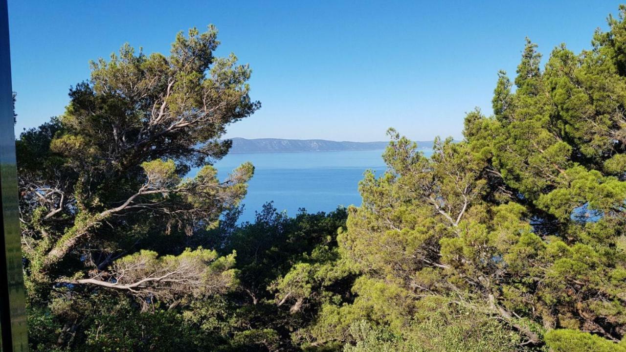 Apartment Gal Podgora Eksteriør billede